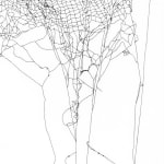 Image of Arachne's handwoven Spider/Web Map