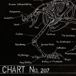 Image of Morbid Scholarship.