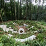 Image of Gupta's Site Specific work in Sonsbeek Park, Arnhem.