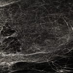 Tomas Saraceno spider box