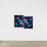 Lisa Oppenheim c-print on wall