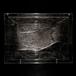 Tomas Saraceno spider box