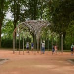 Image of The curious vortex.