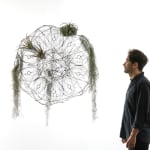 tomas saraceno hanging sculpture with plants