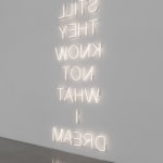 Image of StillTheyKnowNotWhatIDream