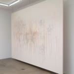 Shilpa Gupta Stars on Flags of the World, July 2011 2012-2023