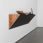 Image of Untitled (bowl, dog chew, fin)