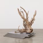 Karyn Olivier's sculpture of a piece of drift wood sitting on top of a steel stepped platform against a neutral background