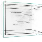 Image of spider box.