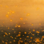 Image of The Stars' Paradox.
