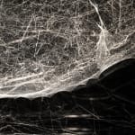 Tomas Saraceno spider box