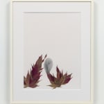 Peggy preheim collage