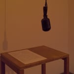 Shilpa Gupta Untitled 2023.