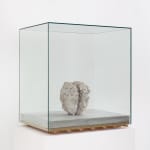 Image of Head with Rope.