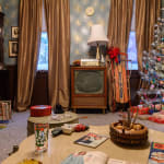 Image of Mark Dion, Mrs. Christopher's House..