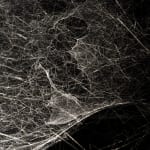 Tomas Saraceno spider box