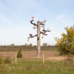 Image of Mark Dion Tree of Life