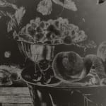 Image of Fleurs et Fruits, 1943/2022 (Version I)