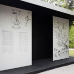 Image of Spider/Web Pavilion 7.