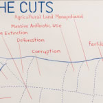 Image of The Cuts, Chart 81.