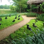 Image of Gerard - Thailand