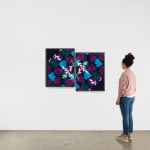Lisa Oppenheim c-print on wall