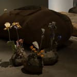 Image of The Stone Garden.