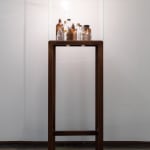 Image of Untitled (Spoken Poem in a Bottle)