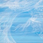 Image of Sandra CINTO, Day Flight I, 2023