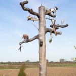 Image of Mark Dion Tree of Life