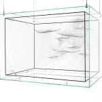 Image of spider box.