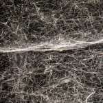 Tomas Saraceno spider box