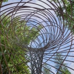 Image of The curious vortex.