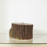 Haim Steinbach Baltic Birch plywood in plastic laminate and glass box attached to the wall
