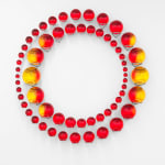 Image of Successful coexistence beyond earth.