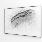 Image of Handwoven spider map