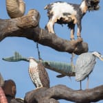Image of Mark Dion Tree of Life