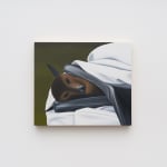 Image of Bat Sleep.