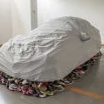 car cover over shoes