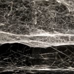 Tomas Saraceno spider box