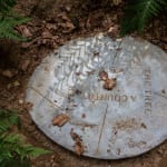 Image of Gupta's Site Specific work in Sonsbeek Park, Arnhem.