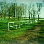 Image of Fence 1999 - Stockholm, Sweden.