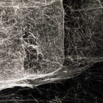 Tomas Saraceno spider box