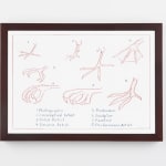Mark Dion, Untitled (Bird Feet), 2020