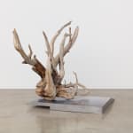 Karyn Olivier's sculpture of a piece of drift wood sitting on top of a steel stepped platform against a neutral background