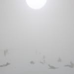 Image of Free the Air.