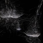 tomas saraceno spider box
