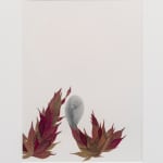 Peggy preheim collage