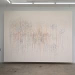 Shilpa Gupta Stars on Flags of the World, July 2011 2012-2023