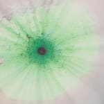 Image of Seeing painting (slowness).